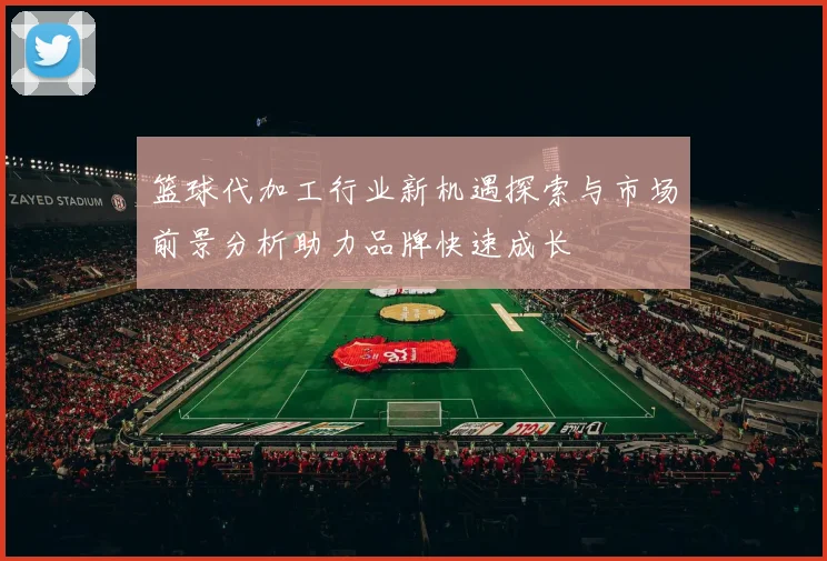 篮球代加工行业新机遇探索与市场前景分析助力品牌快速成长