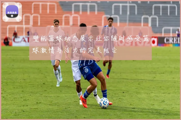 壁纸篮球动态展示让你随时感受篮球激情与活力的完美结合