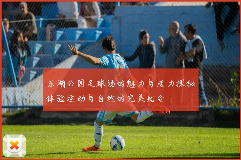 东湖公园足球场的魅力与活力探秘体验运动与自然的完美结合